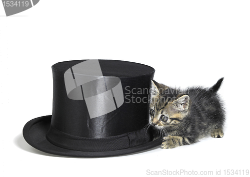 Image of kitten hiding behind a top hat