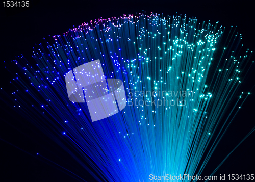 Image of plastic optical fibers