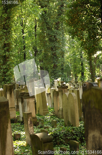 Image of sunny illuminated old graveyard in Berlin