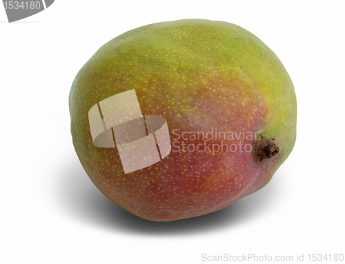 Image of mango fruit in white back