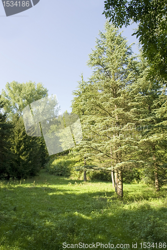 Image of Liliental in sunny ambiance