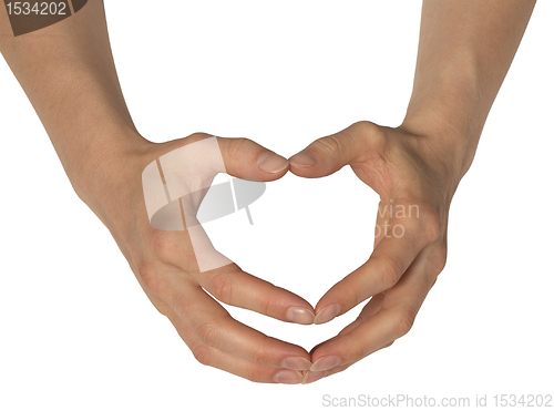 Image of two feminine hands