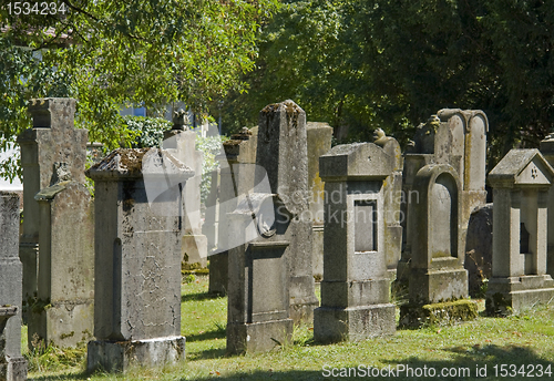 Image of jewish graveyard in sunny ambiance