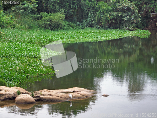 Image of Victoria Nile waterside scenery