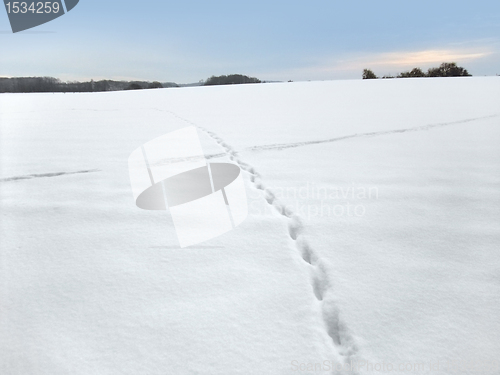 Image of winter scenery at evening time