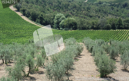 Image of Chianti in Tuscany