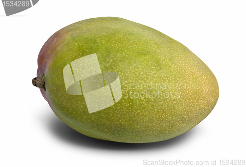 Image of mango