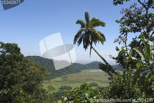 Image of Arusha National Park in Africa