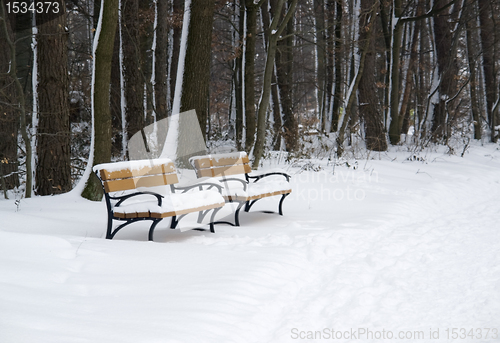 Image of wooden benches at winter time