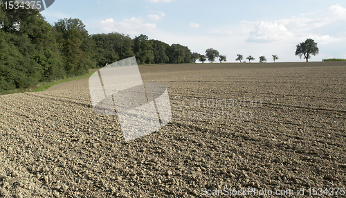 Image of pictoral plowed field and trees