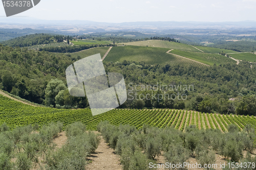 Image of Chianti in Tuscany