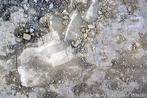 Image of loamy ground and pebbles