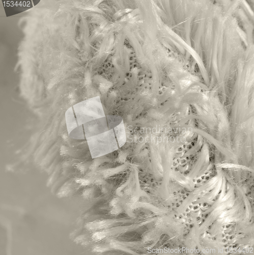 Image of fabrics detail