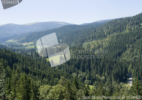 Image of idyllic Black Forest scenery
