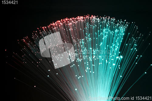 Image of plastic optical fibers