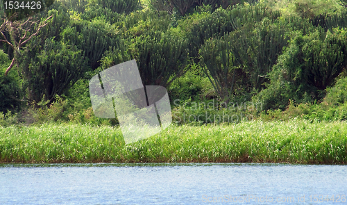 Image of around Kazinga Channel in Uganda