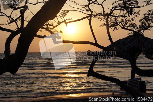 Image of Trees and sunrise