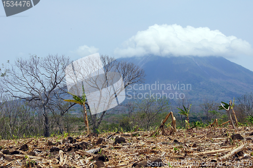 Image of Banana plantation and volcano