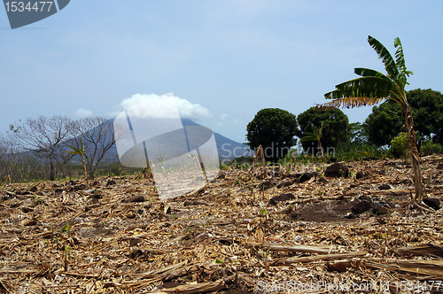 Image of Ometepe
