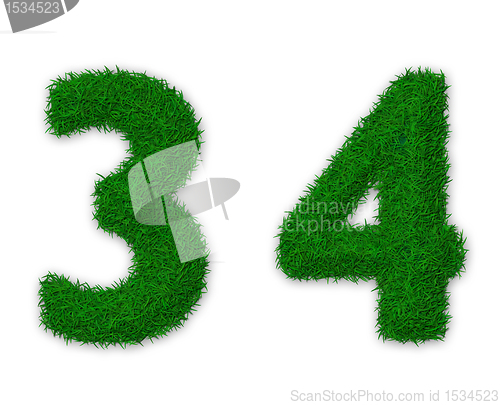 Image of Grassy numbers