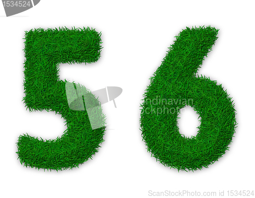 Image of Grassy numbers