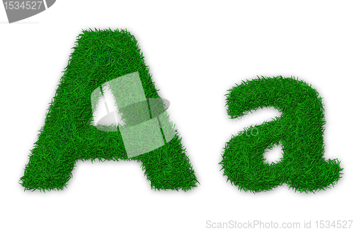 Image of Grassy letter A