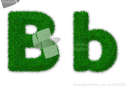 Image of Grassy letter B