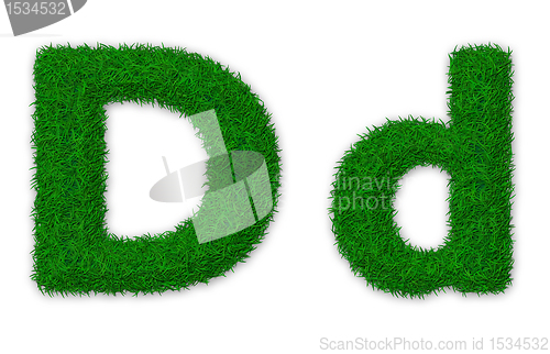 Image of Grassy letter D