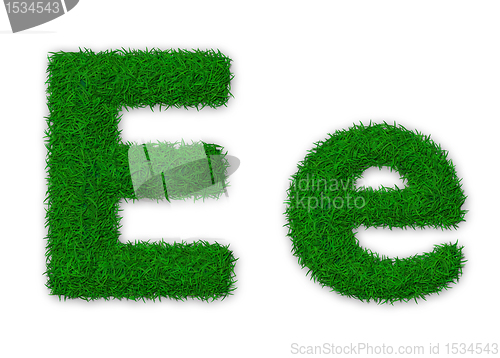 Image of Grassy letter E