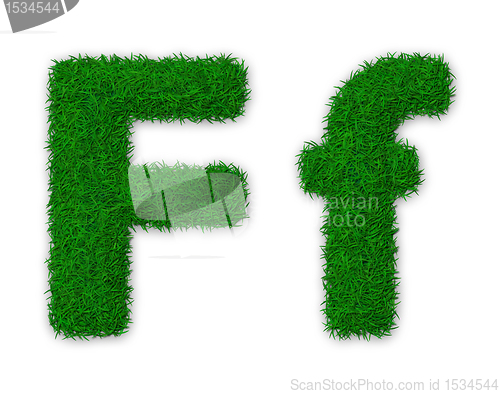 Image of Grassy letter F