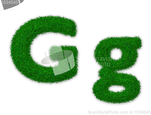 Image of Grassy letter G