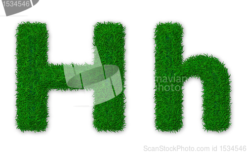 Image of Grassy letter H