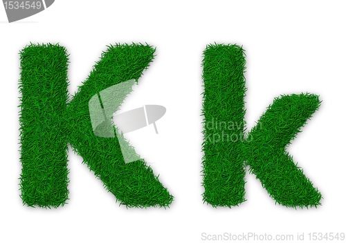 Image of Grassy letter K