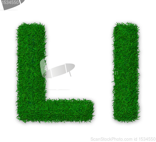 Image of Grassy letter L