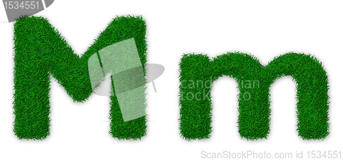 Image of Grassy letter M