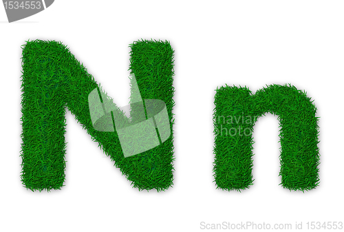 Image of Grassy letter N