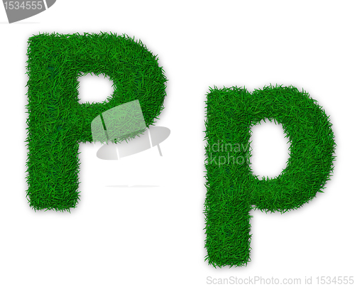 Image of Grassy letter P