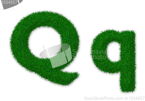 Image of Grassy letter Q