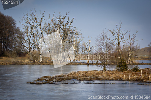 Image of frozen lake