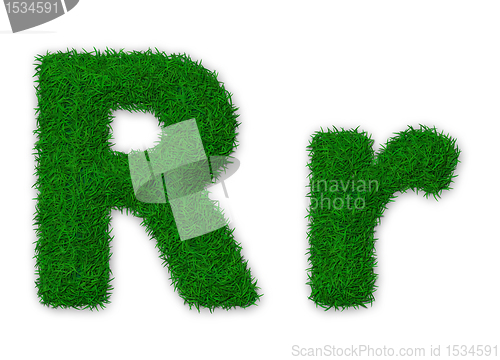 Image of Grassy letter R