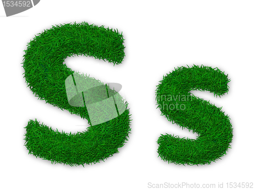 Image of Grassy letter S