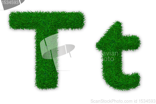 Image of Grassy letter T