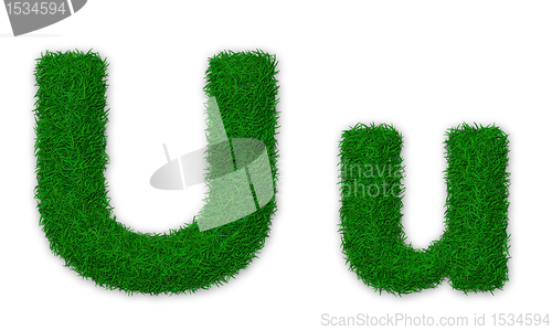Image of Grassy letter U