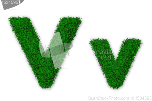Image of Grassy letter V
