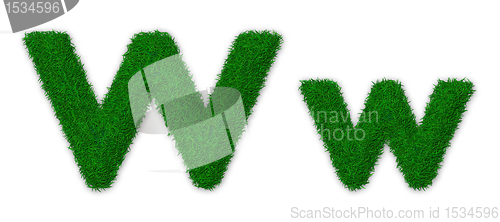 Image of Grassy letter W