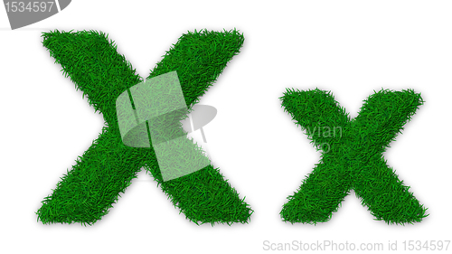 Image of Grassy letter X