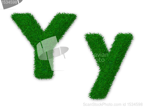 Image of Grassy letter Y