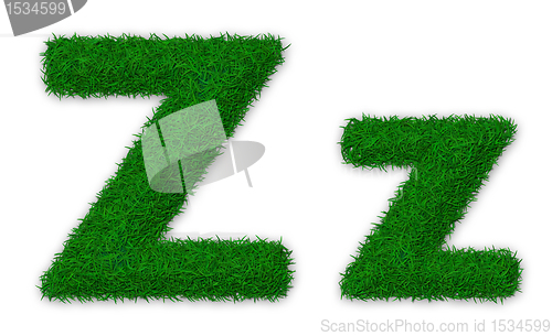 Image of Grassy letter Z