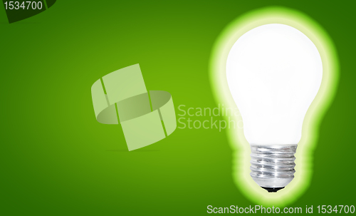 Image of White bulb