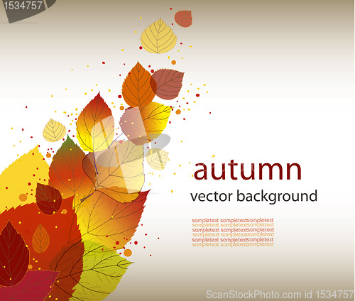 Image of autumn background, eps10